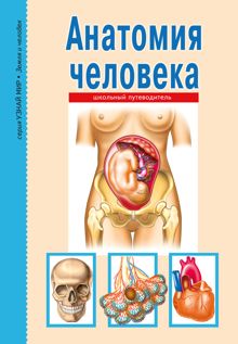 Обложка: Анатомия человека