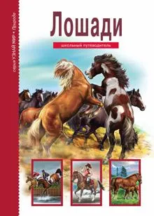 Обложка: Лошади