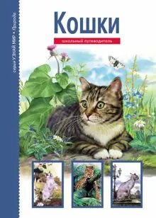 Обложка: Кошки