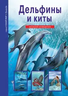 Обложка: Дельфины и киты