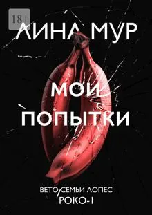 Обложка: Мои попытки