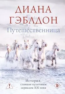 Обложка: Путешественница