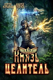Обложка: Князь Целитель 6