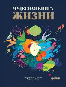Обложка: Чудесная книга жизни