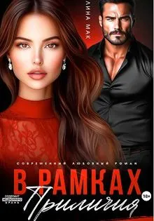 Обложка: В рамках приличия