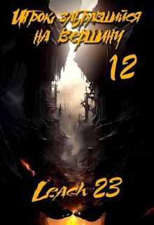 Обложка: Игрок, забравшийся на вершину. Том 12