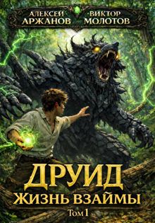 Обложка: Друид. Жизнь взаймы