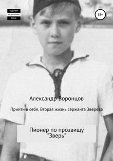 Обложка: Пионер по прозвищу «Зверь»