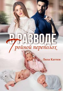 Обложка: В разводе. Тройной переполох