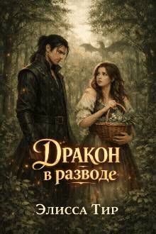 Обложка: Дракон в разводе