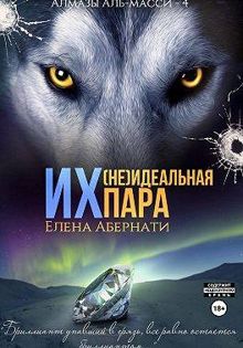 Обложка: Их (не)идеальная пара