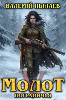 Обложка: Молот Пограничья. Книга V