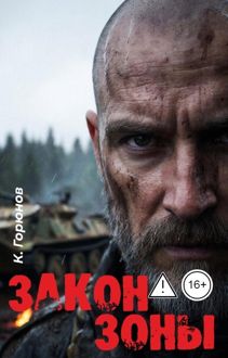 Обложка: Закон Зоны