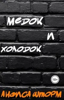 Обложка: Медок и холодок
