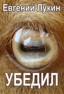 Обложка: Убедил