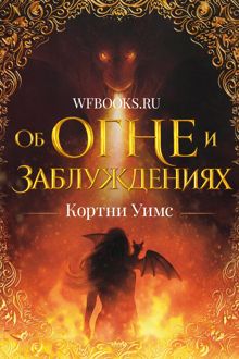 Обложка: Об огне и заблуждениях