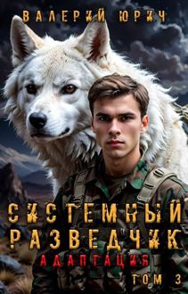 Обложка: Системный разведчик. Адаптация. Том 3