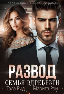 Обложка: Развод. Семья вдребезги