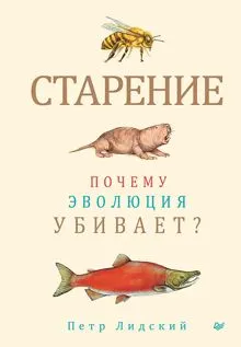 Обложка: Старение. Почему эволюция убивает?