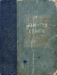 Обложка: Большая семья