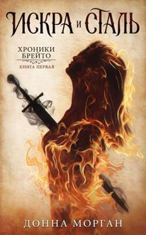 Обложка: Искра и сталь