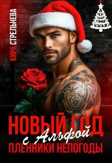 Обложка: Новый год с Альфой. Пленники непогоды