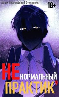 Обложка: Ненормальный практик 9