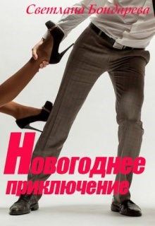 Обложка: Новогоднее приключение