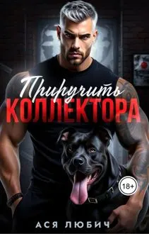 Обложка: Приручить коллектора