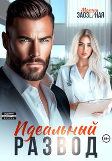 Обложка: Идеальный развод