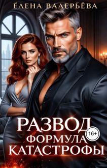 Обложка: Развод. Формула катастрофы