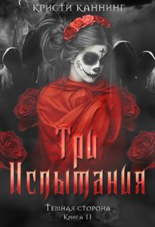 Обложка: Три испытания