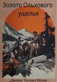 Обложка: Золото Ольхового ущелья