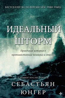 Обложка: Идеальный шторм