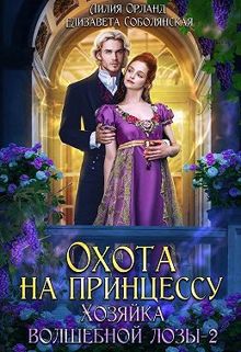 Обложка: Охота на принцессу