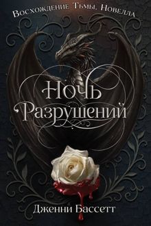 Обложка: Ночь разрушений