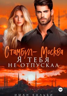 Обложка: Стамбул — Москва. Я тебя не отпускал