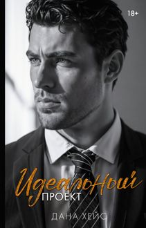 Обложка: Идеальный проект