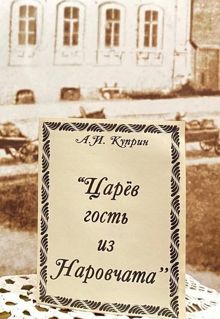 Обложка: Царев гость из Наровчата