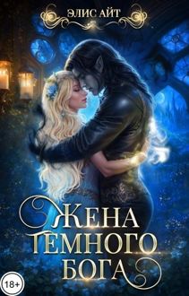 Обложка: Жена тёмного бога