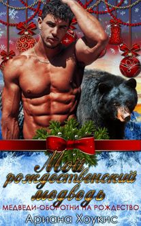 Обложка: Мой рождественский медведь