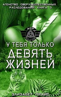 Обложка: У тебя только девять жизней