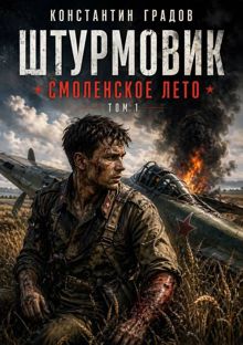 Обложка: Штурмовик. Смоленское лето.