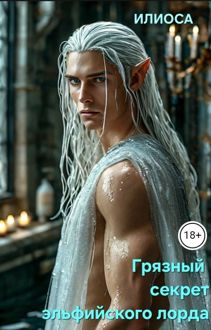 Обложка: Грязный секрет эльфийского лорда
