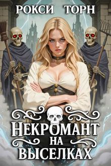 Обложка: Некромант на выселках