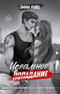Обложка: Идеальное попадание