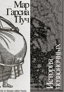 Обложка: История позвоночных