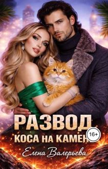 Обложка: Развод. Коса на камень