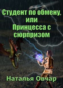 Обложка: Студент по обмену, или Принцесса с сюрпризом [СИ]