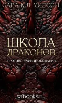 Обложка: Противоречивые обещания